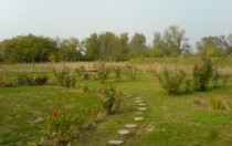 Etno Jagodina Morava Garden 3