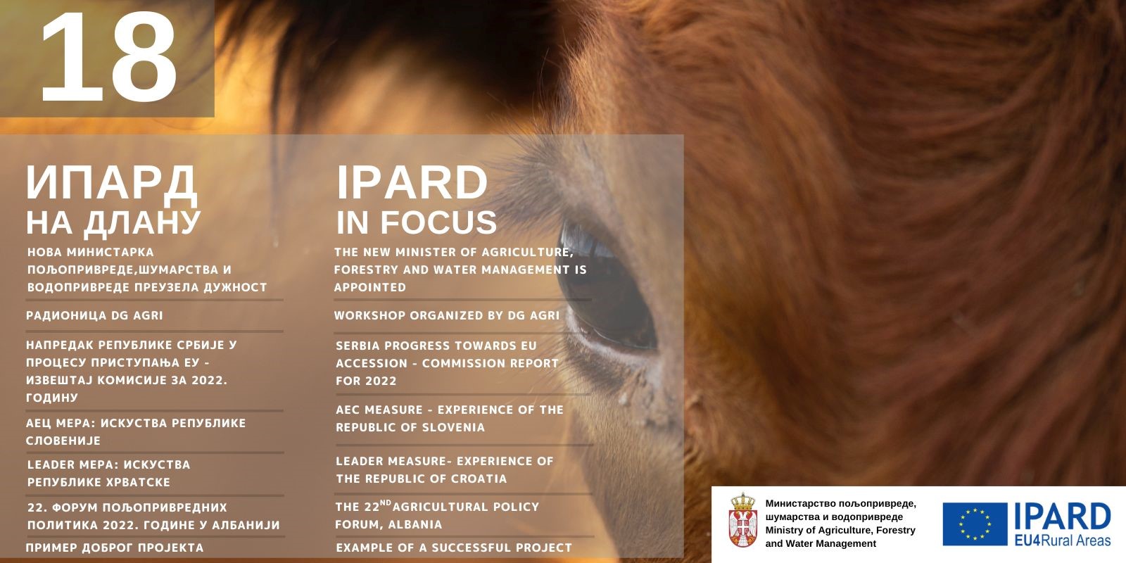 ipard 18